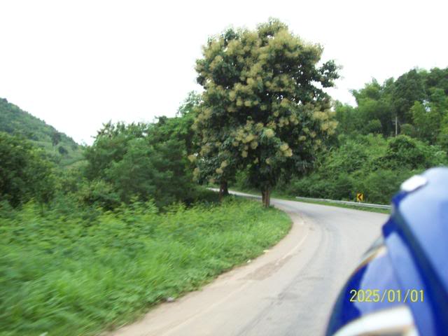100_3291.jpg