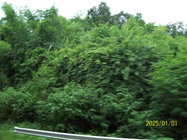 100_3292.jpg