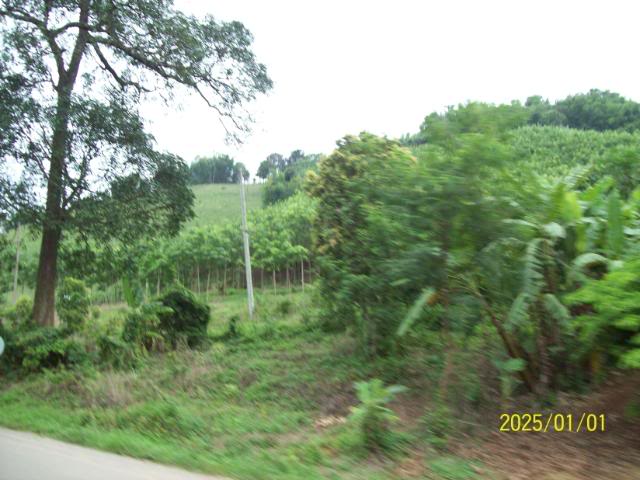 100_3294.jpg