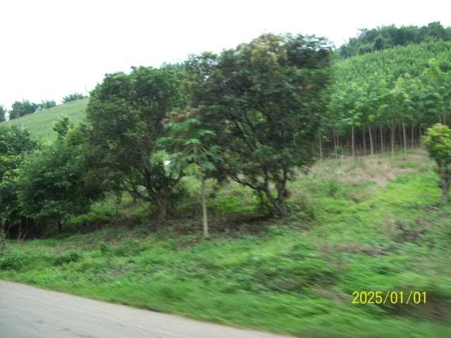 100_3295.jpg