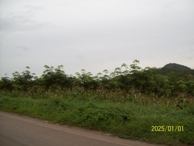 100_3297.jpg