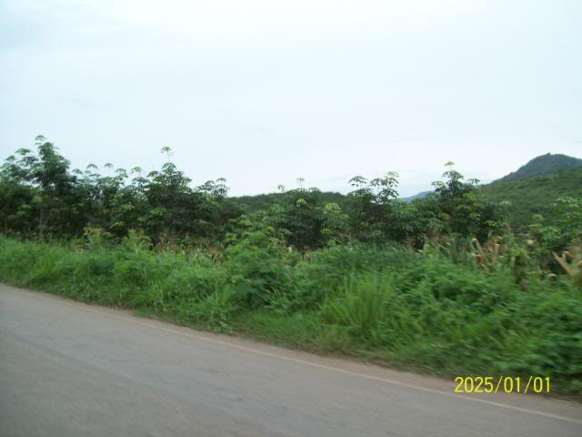 100_3298.jpg