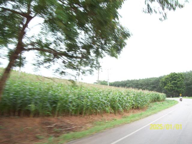 100_3299.jpg