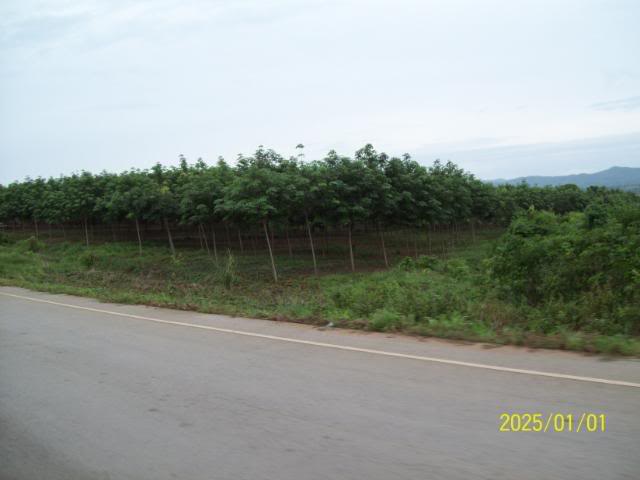 100_3301.jpg