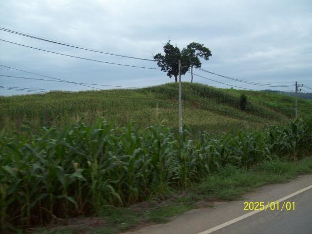 100_3305.jpg