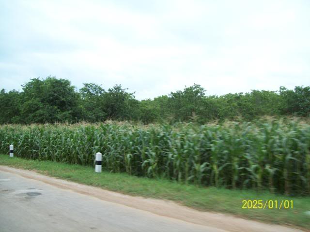 100_3316.jpg