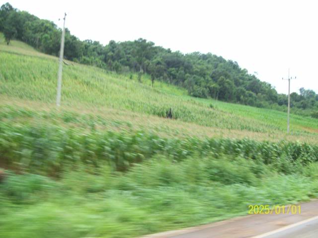 100_3322.jpg