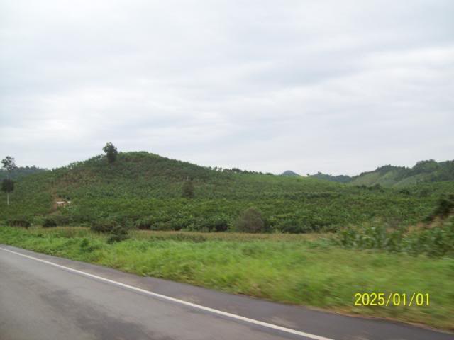 100_3323.jpg