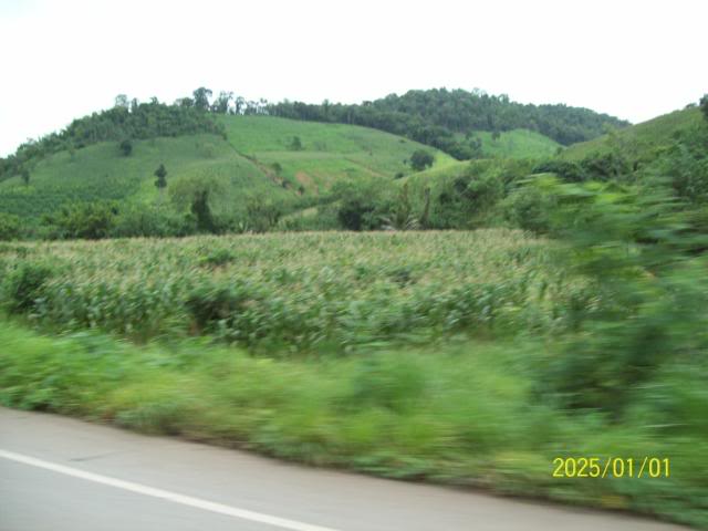 100_3329.jpg