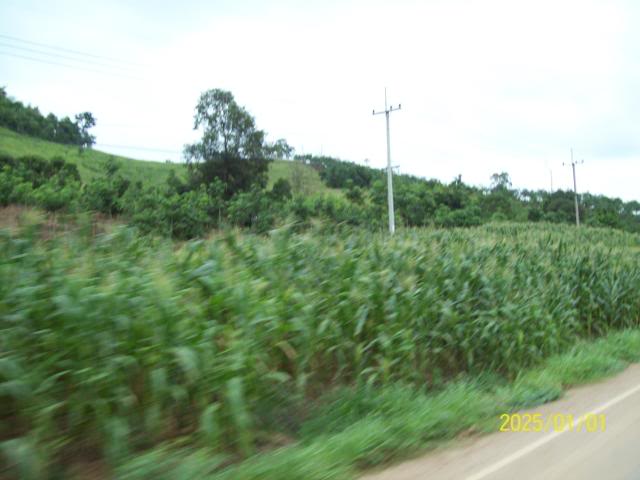 100_3330.jpg