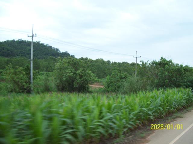 100_3334.jpg