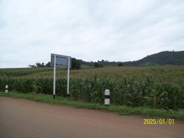 100_3337.jpg