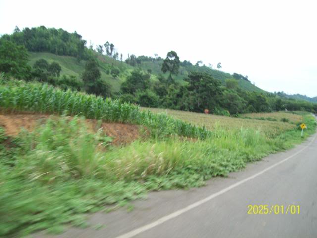 100_3350.jpg