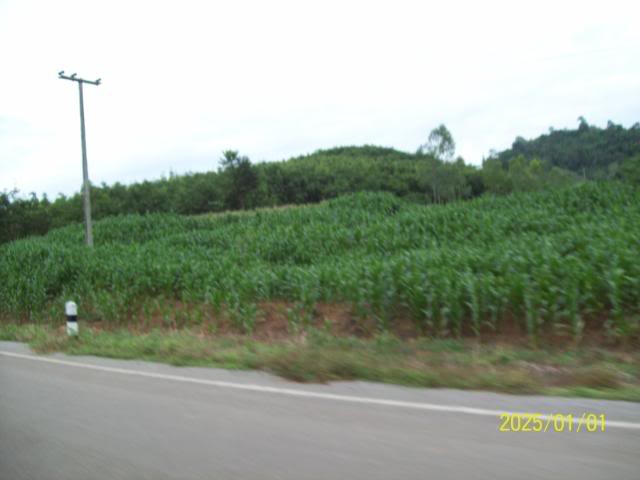 100_3351.jpg