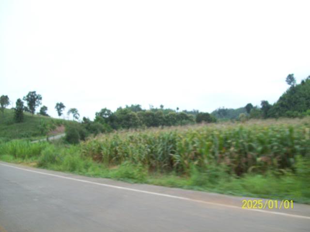 100_3352.jpg
