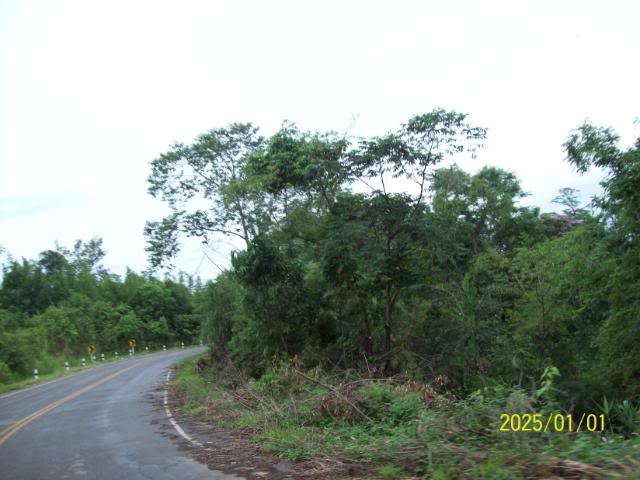 100_3356.jpg