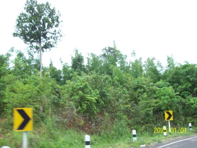 100_3358.jpg