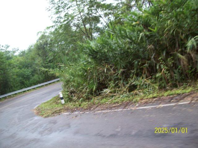 100_3363.jpg