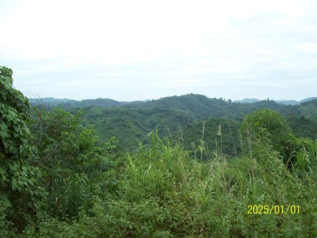 100_3367.jpg
