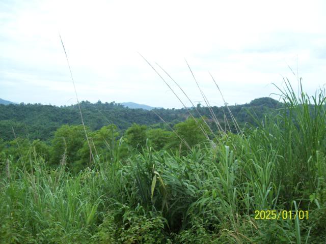 100_3368.jpg