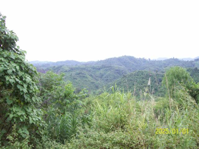 100_3370.jpg
