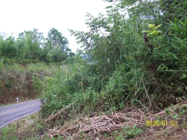 100_3373.jpg