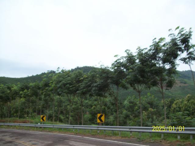 100_3384.jpg