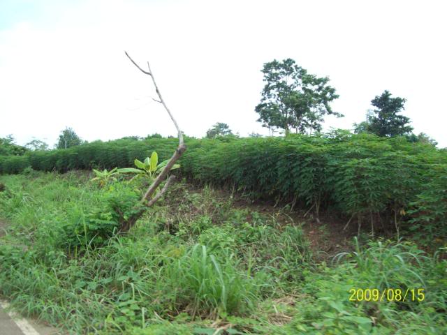 100_3421.jpg