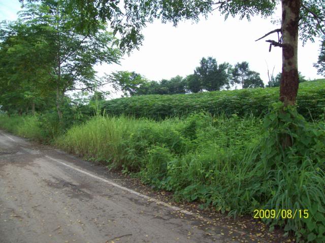 100_3429.jpg