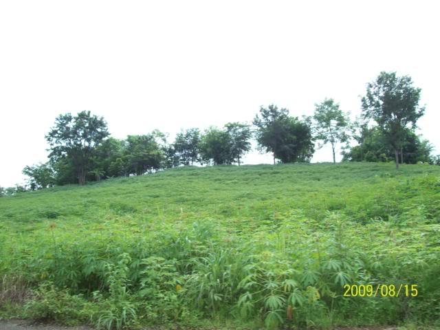 100_3432.jpg