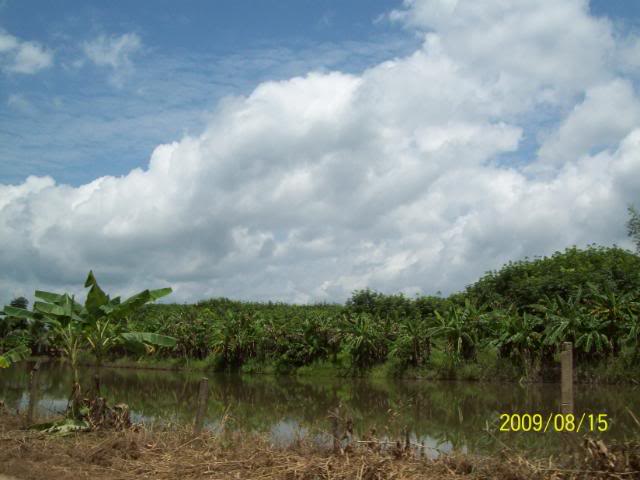 100_3439.jpg