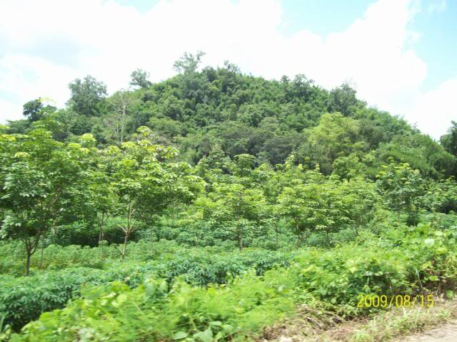 100_3458.jpg