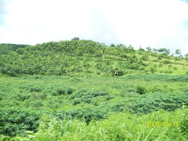 100_3460.jpg
