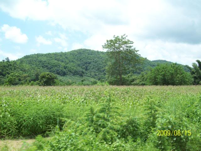 100_3463.jpg