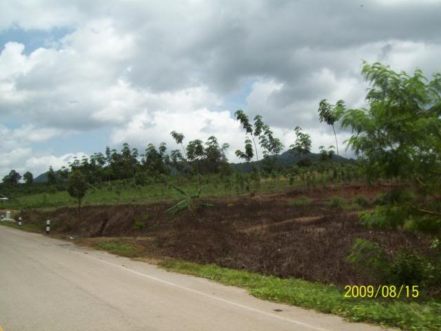 100_3474.jpg