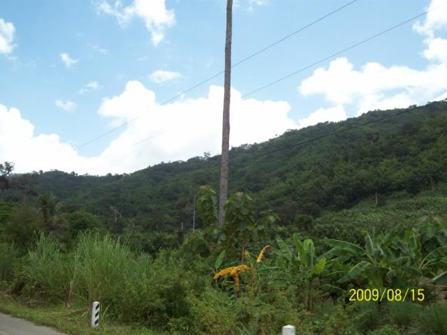 100_3486.jpg