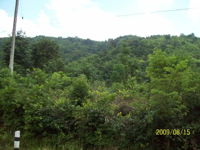 100_3489.jpg