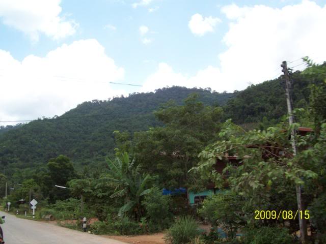 100_3497.jpg
