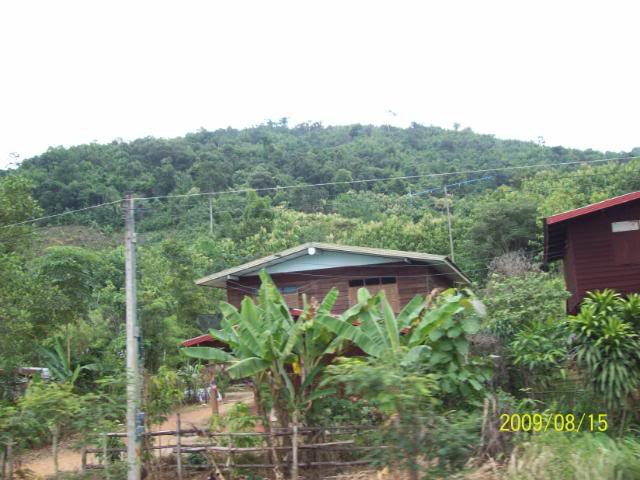 100_3498.jpg