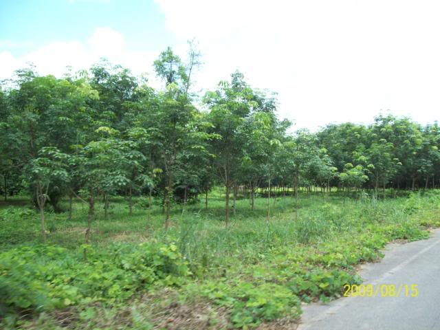 100_3512.jpg