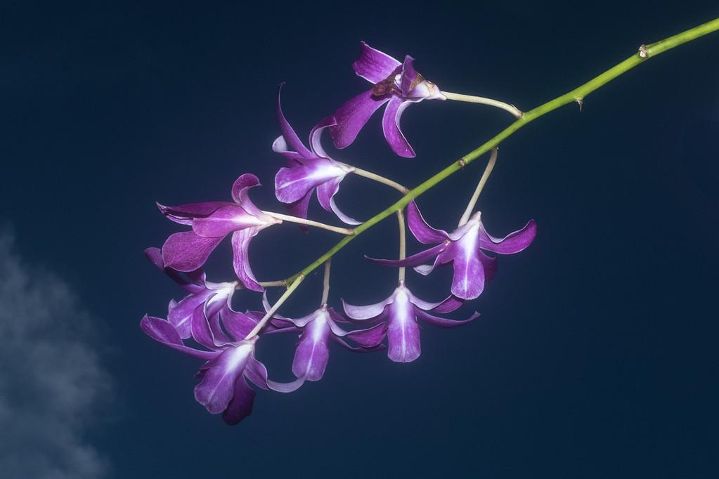 100F0275-Edit-XL.jpg
