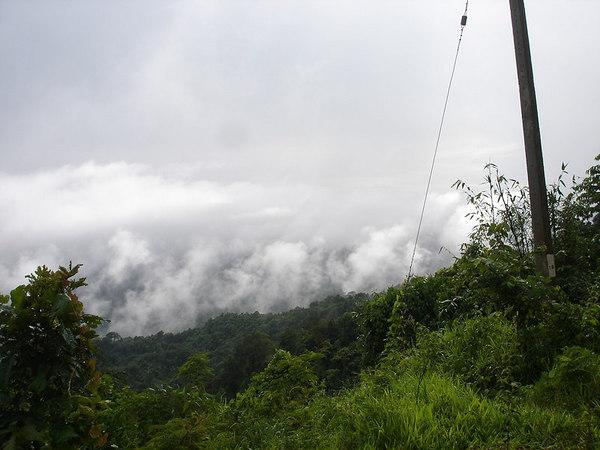 101997384-M.jpg