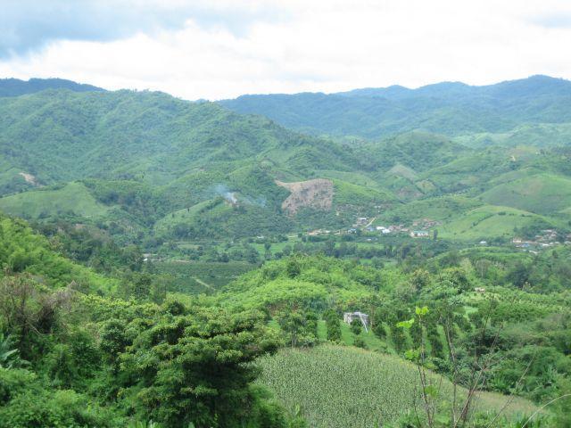 10_G_002.jpg