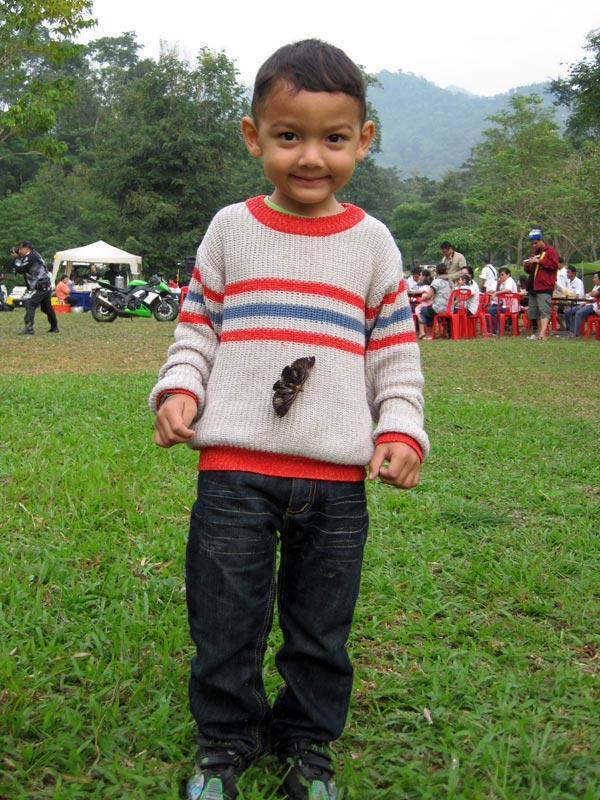 110710ButterflyMirSm.jpg