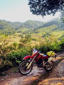 114417471-S.jpg