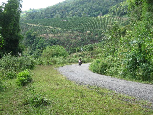 11_G_003.jpg