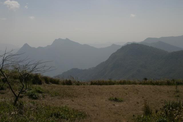 11Feb2011045.jpg