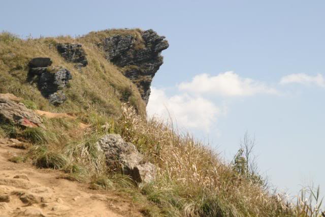 11Feb2011049.jpg
