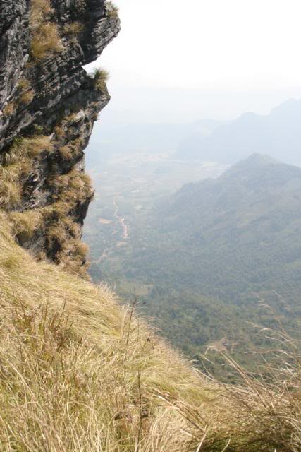11Feb2011051.jpg
