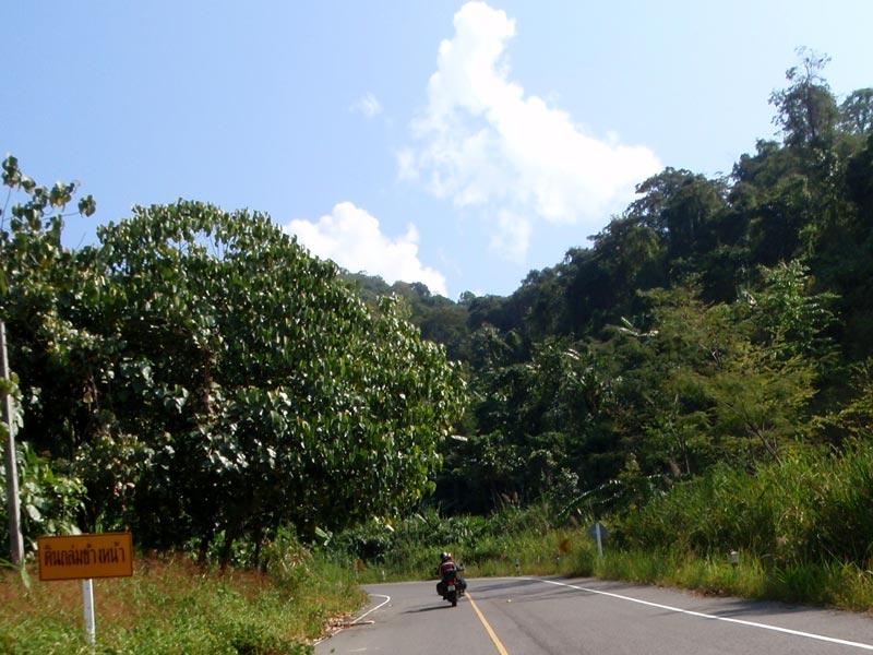 120808Rt1148DM1Sm.jpg